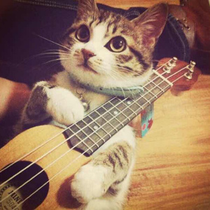 日本丰腴少妇色情片
